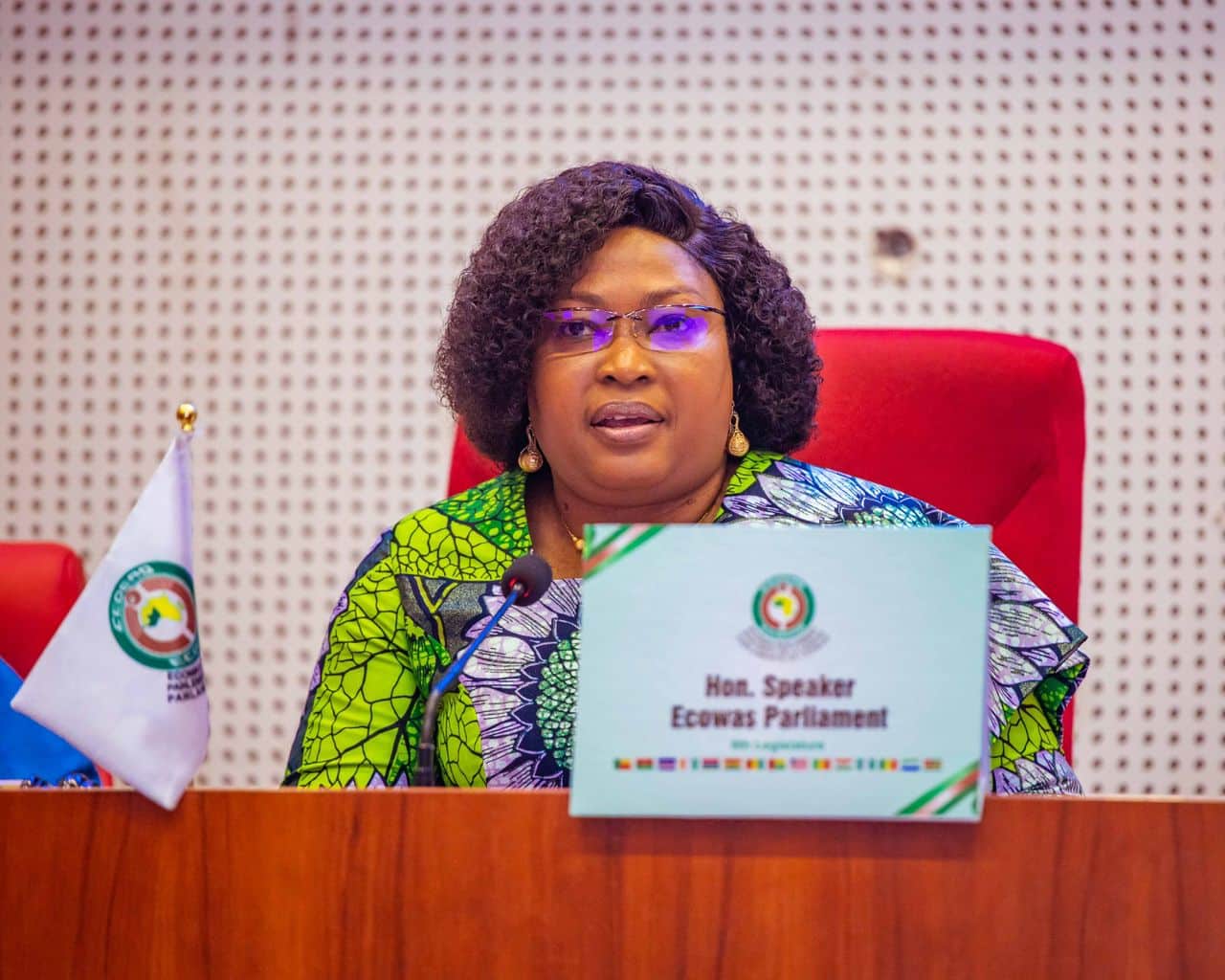 Niger – Bénin : le parlement de la CEDEAO s’active pour une sortie de crise