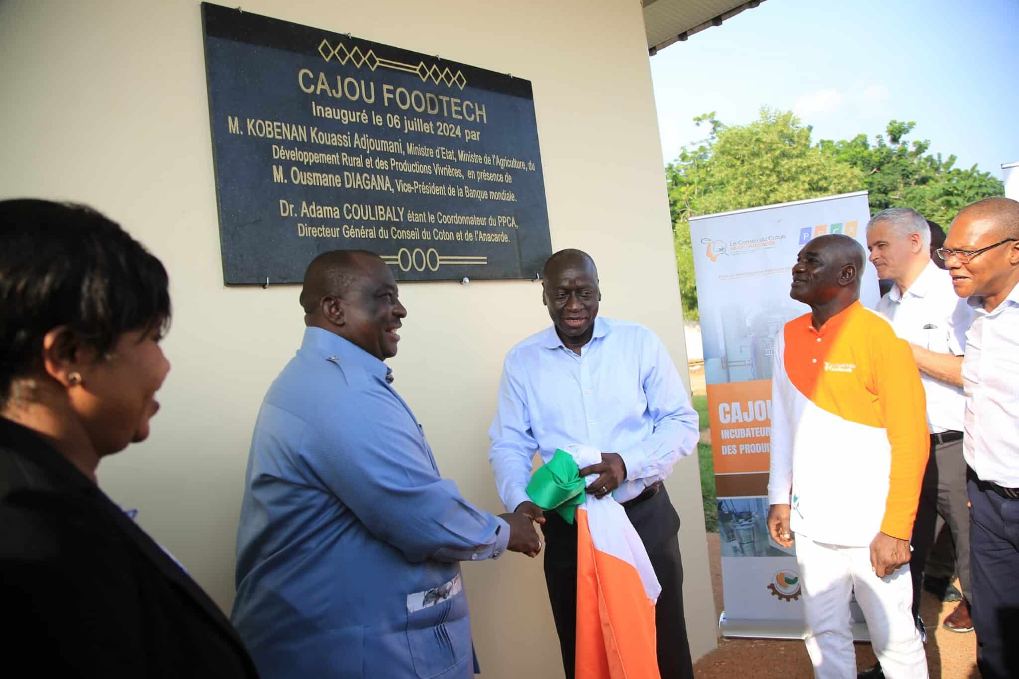 Noix de cajou : inauguration d’un centre incubateur pour les produits dérivés en Côte d’Ivoire