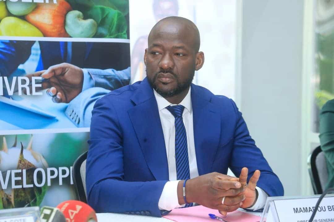 Côte d’Ivoire : le Conseil coton-anacarde désigne Mamadou Berté comme directeur général intérimaire
