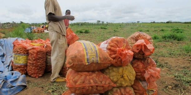 Le FIDA signe un programme agricole de 30,3 millions USD avec le Sénégal