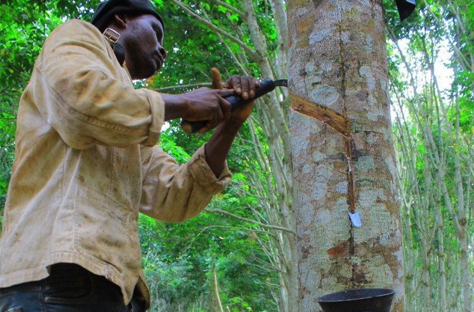 Gabon : L’État acquiert 35% des actions d’Agro Business Group