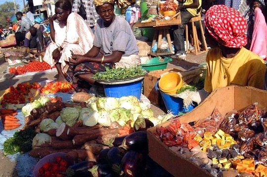 Sénégal : Baisse de 4,2% de l’activité économique au mois de juin 2024