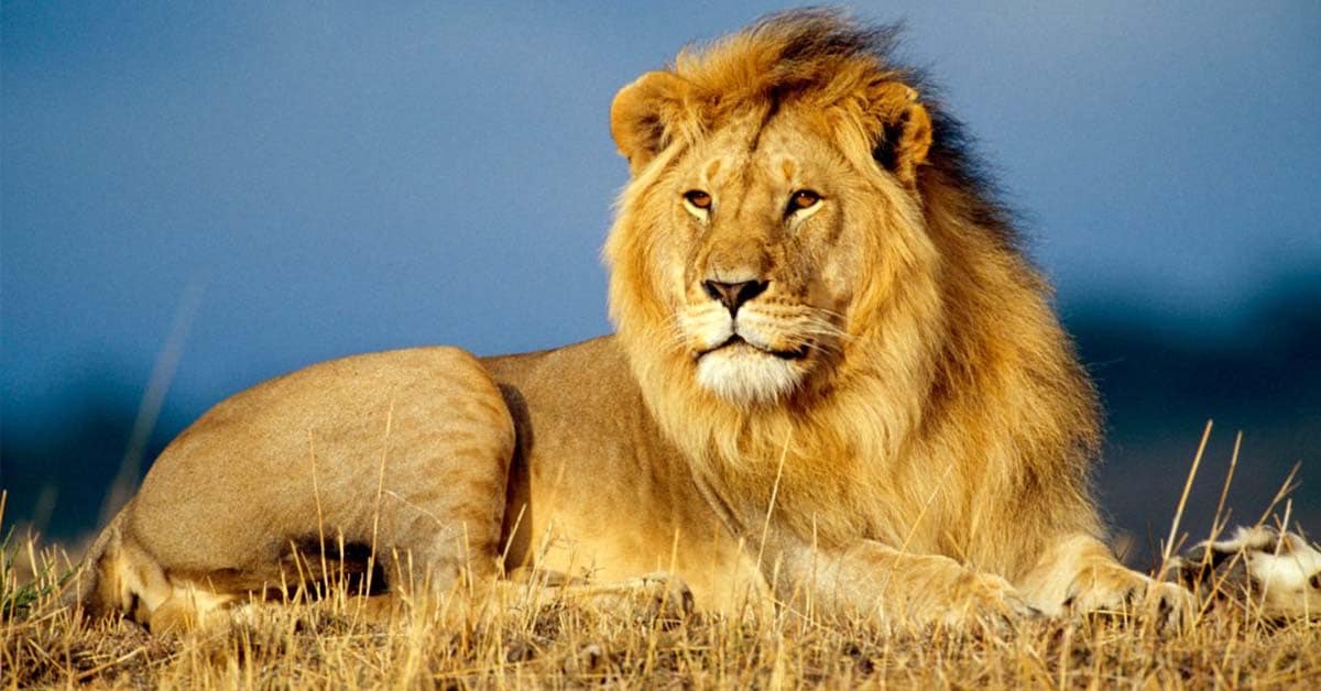 Les derniers deals du capital-investissement en Afrique 