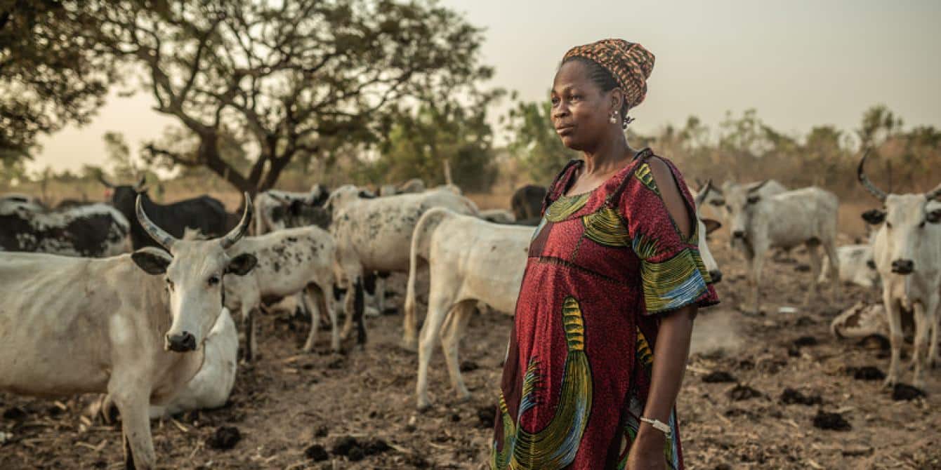 Burkina Faso : lancement du Challenge Innovation Pastoral InnoRebab Prisma
