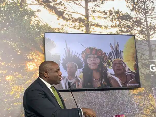 Cop 29 : Londres annonce un investissement de 11,7 millions USD pour la protection des forêts du Bassin du Congo