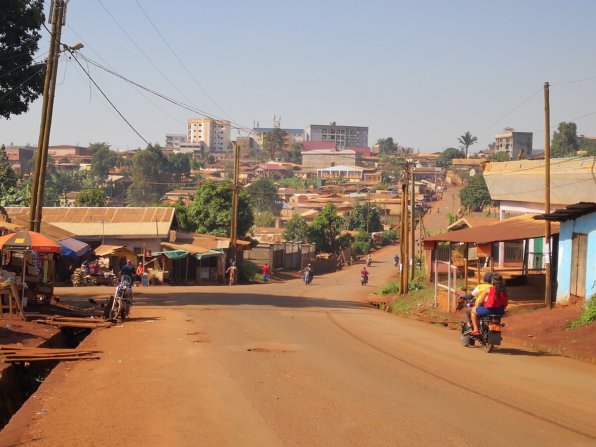 Cameroun : près de 40 millions USD d&rsquo;Afreximbank pour le solaire dans 200 localités