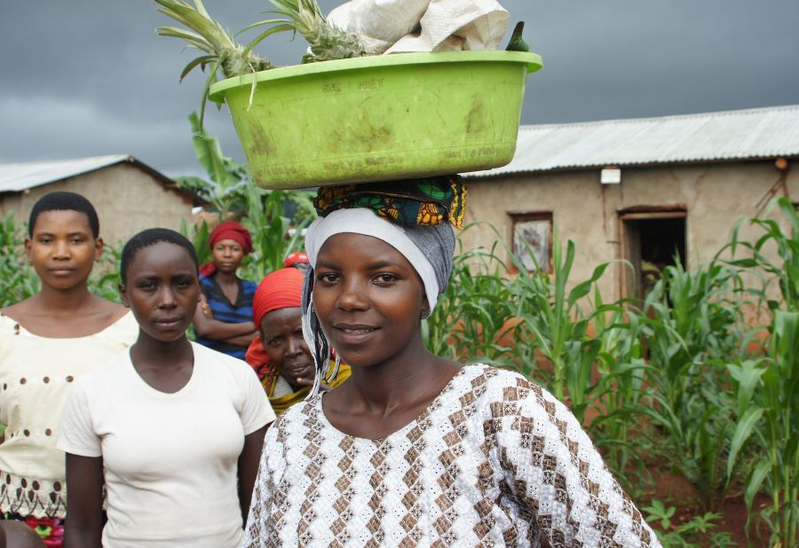Lancement de FASA : Un fonds pour soutenir les PME agricoles en Afrique