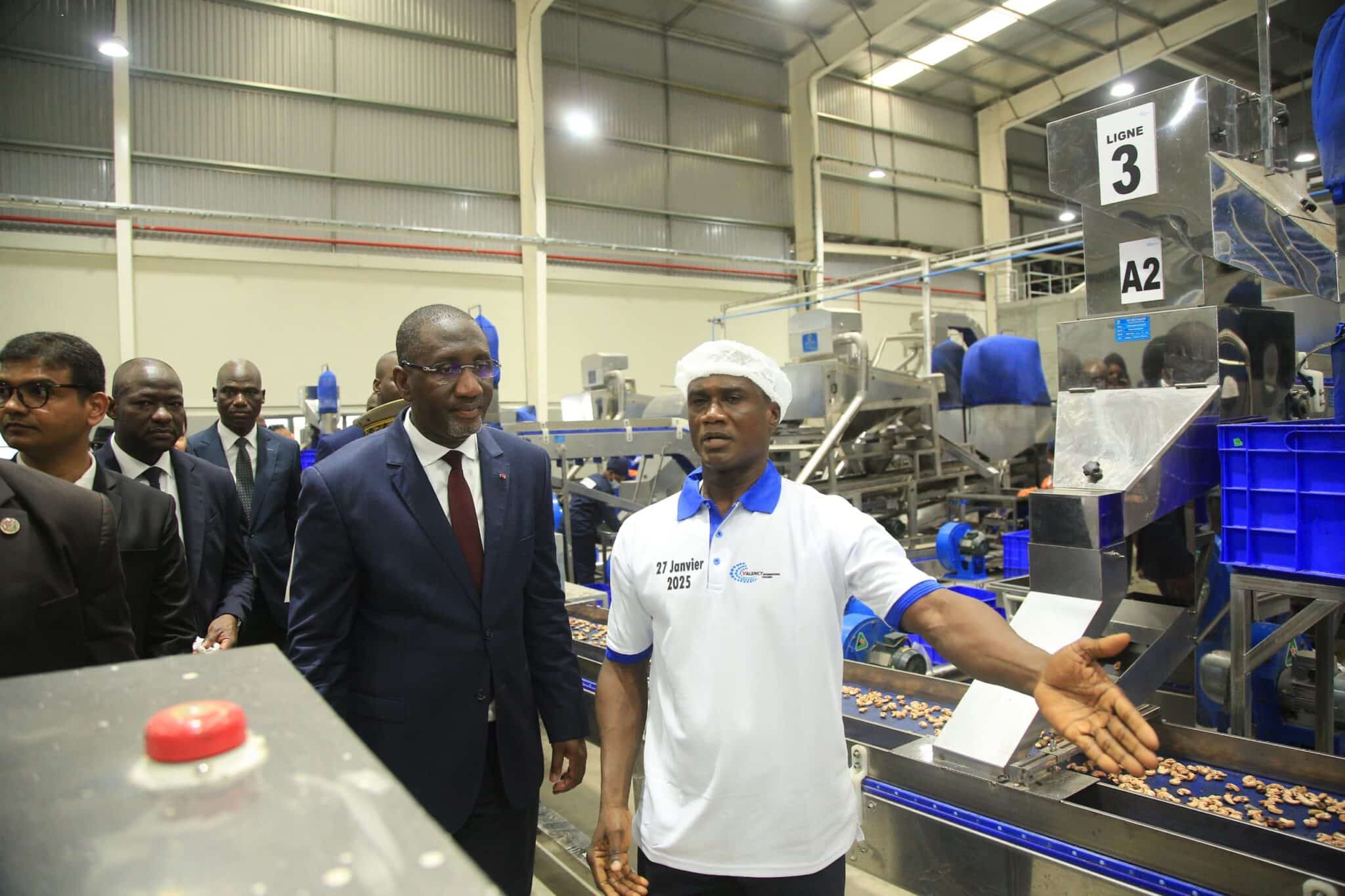 Côte d’Ivoire : Valency, Nordfund et Finfund injectent 40 millions USD dans une nouvelle usine de transformation de cajou