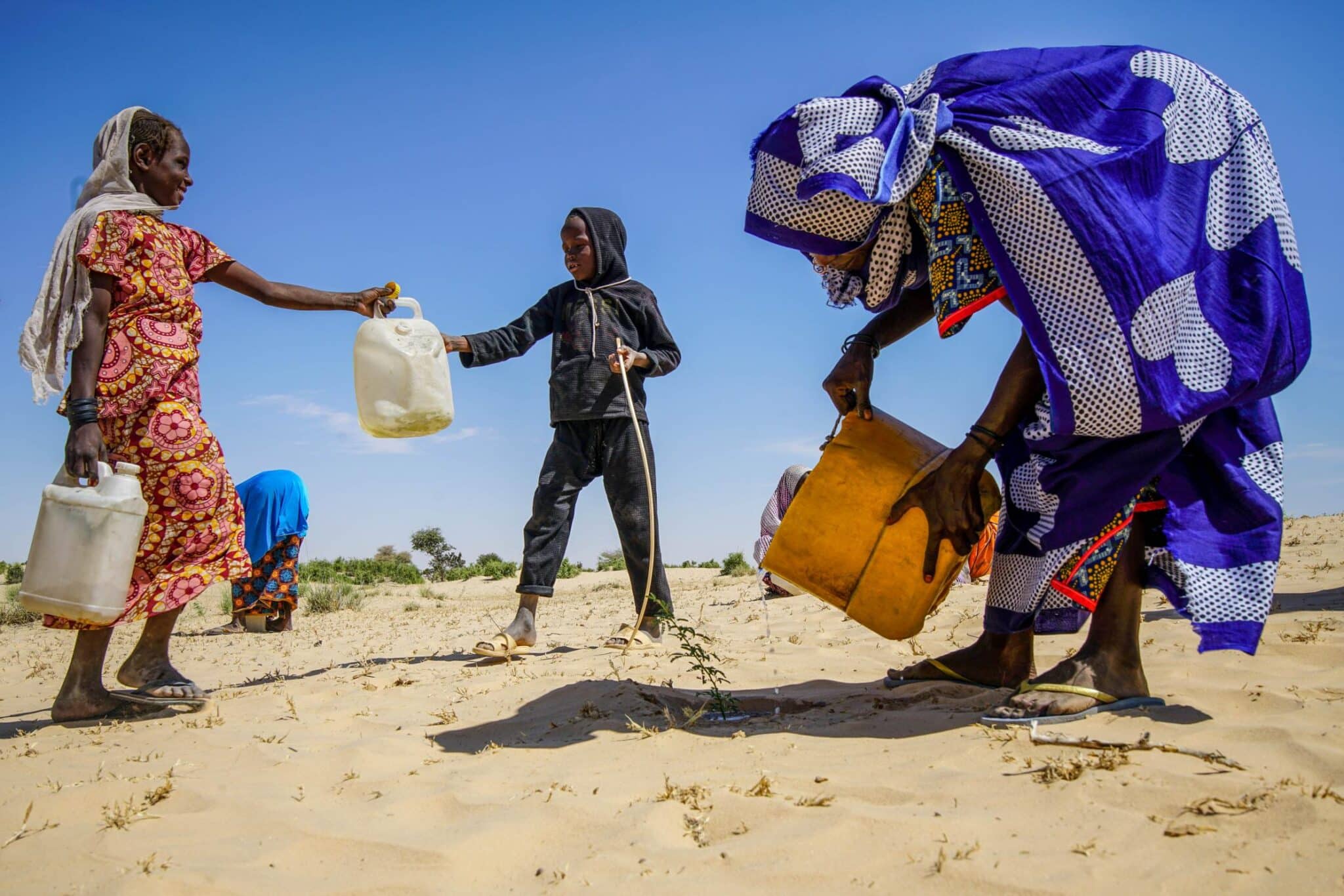 La BAD décaisse plus de 31 millions de dollars pour renforcer la résilience climatique dans 4 pays