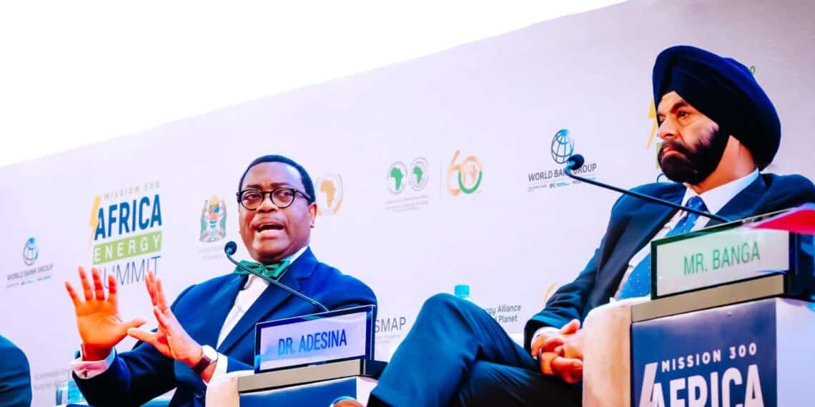 Tanzanie : au delà des très bonnes intentions de la «Mission 300» de la Banque Mondiale