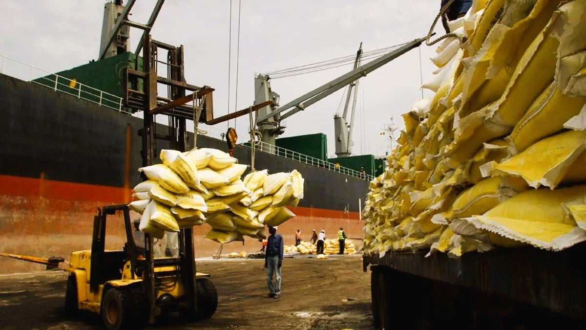 Cameroun : 1,24 milliard USD pour le Plan intégré d’import-substitution