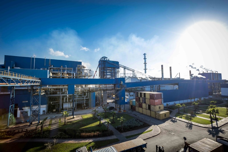 Maroc : Légère progression du chiffre d’affaires consolidé du groupe COSUMAR en 2024