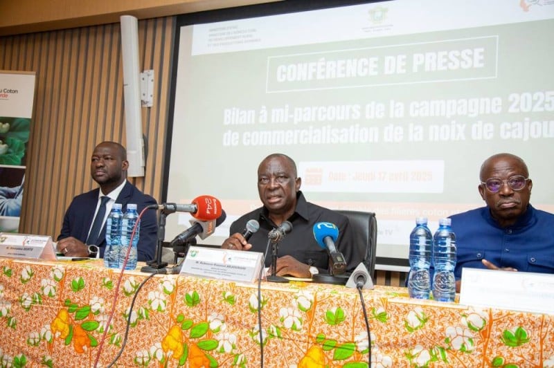 Côte d’Ivoire : la campagne de commercialisation de la noix de cajou passe le cap des 900.000 tonnes