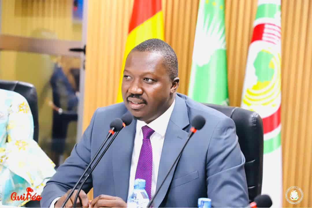 Guinée : Mamoudou Nagnalen Barry nommé PCA de la Compagnie du TransGuinéen