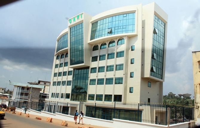 L’Organisation africaine de la propriété Intellectuelle se préoccupe des variétés végétales de son espace