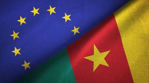 Cameroun : 163 millions USD de pertes fiscales du fait des APE