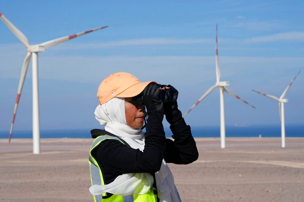 Égypte : AMEA Power finalise un parc éolien de 500 MW