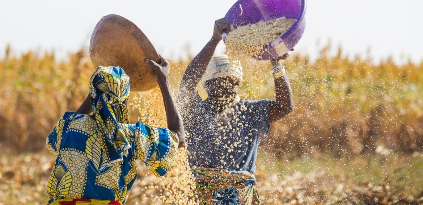 Le Ghana attire 179 millions USD d’investissements italiens pour transformer son agriculture face au changement climatique