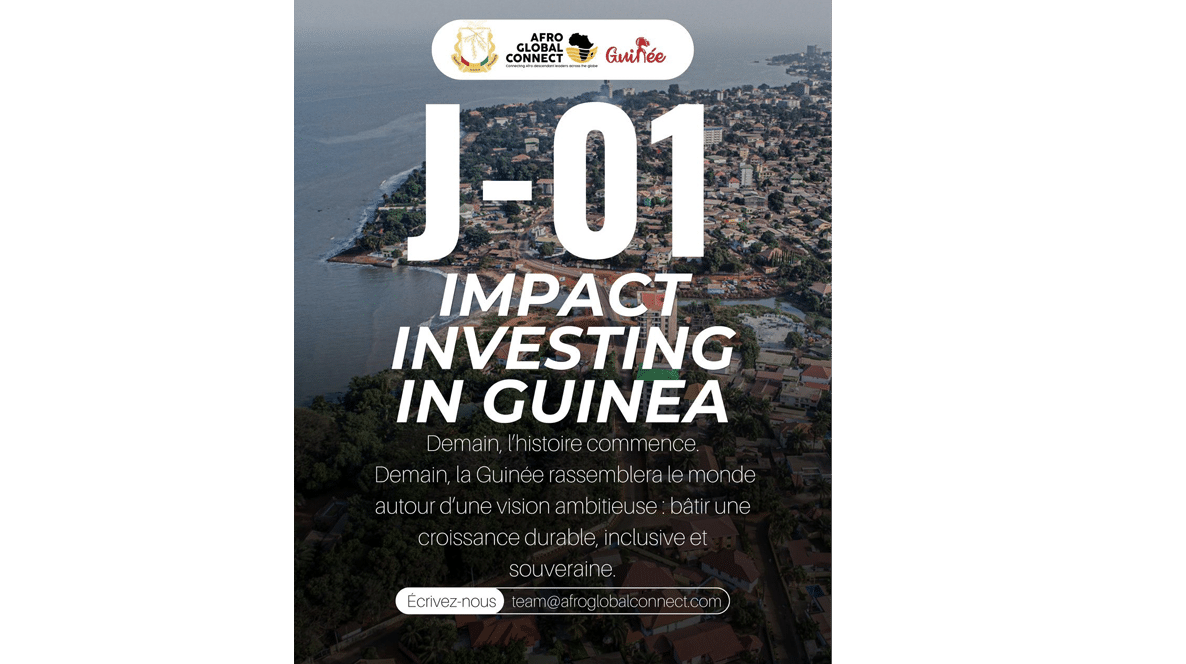 Impact Investing In Guinea : 800 participants nationaux et internationaux à Conakry