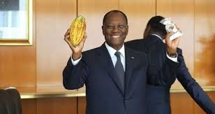 Côte d’Ivoire : l’État injecte environ 502 millions USD pour racheter 123.000 tonnes de cacao