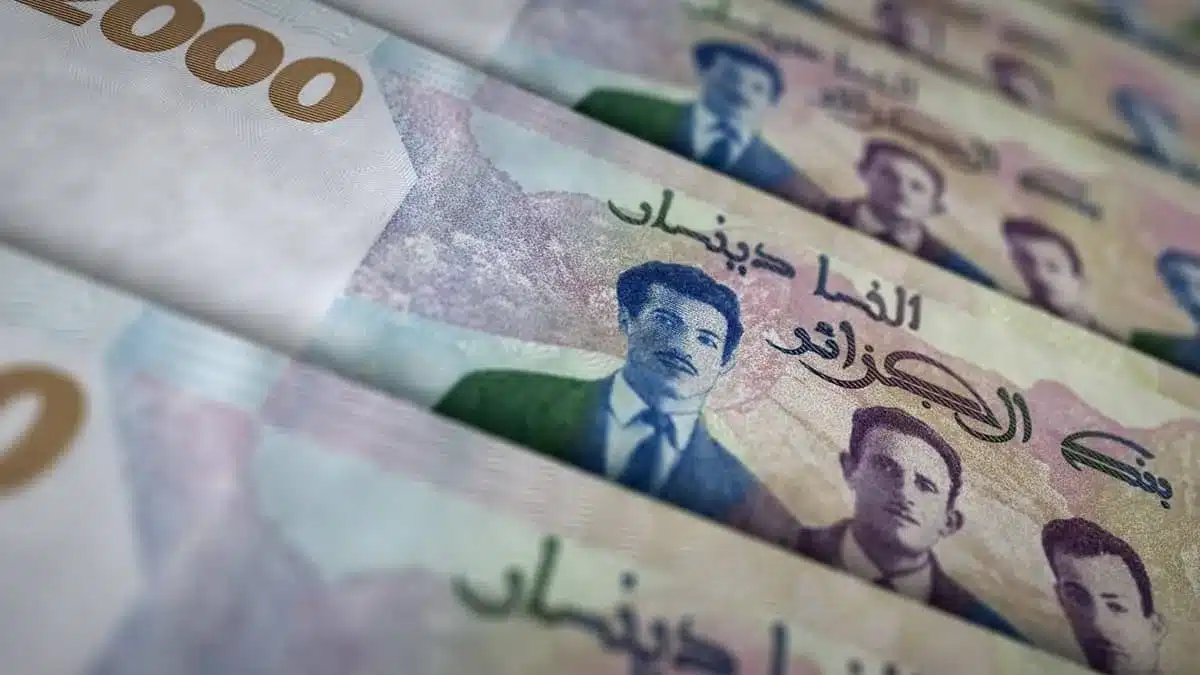 Algérie : la DGI renforce le droit de communication pour lutter contre l’évasion fiscale