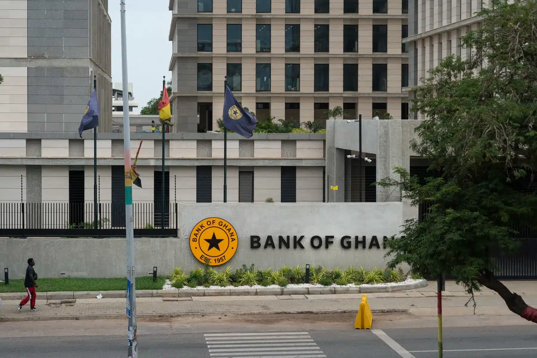 Ghana : la Banque centrale cherche à lever 1 milliard USD localement pour financer le cacao