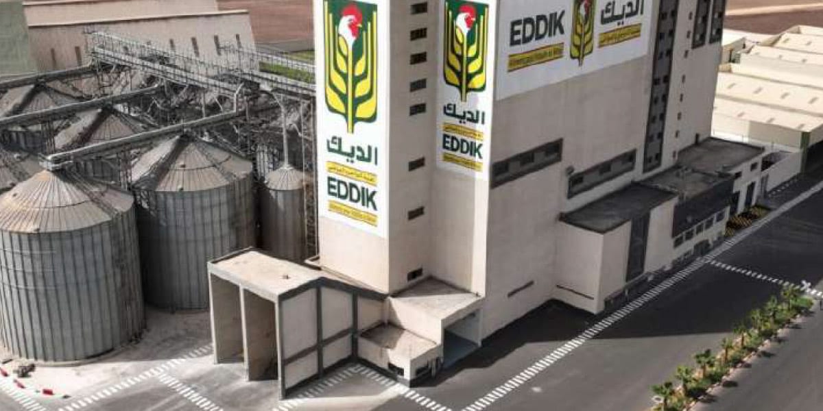 Maroc : Africa Feed & Food lève environ 78 millions d’euros pour accélérer son développement