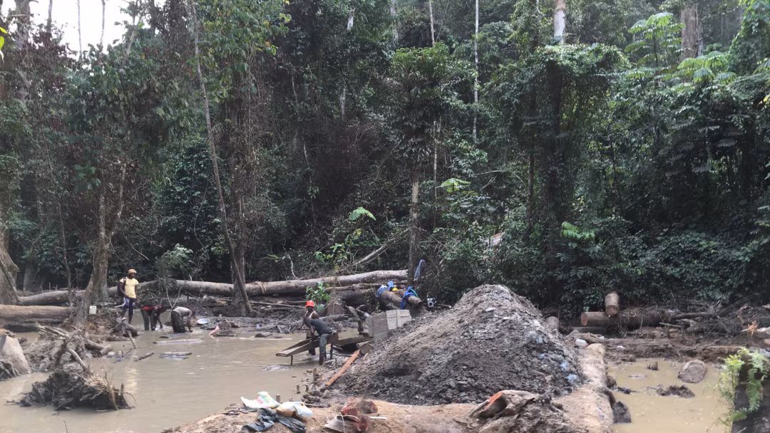 Cameroun : une commission mixte pour enquêter sur le trafic illégal de l’or