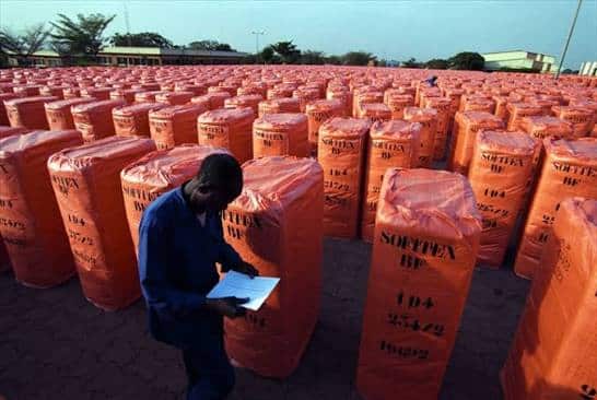 Coton Burkina Faso : la SOFITEX nationalisée sur fond de crise