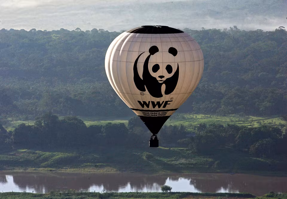 L’Afrique doit mobiliser 65 milliards USD pour restaurer son potentiel forestier, selon le WWF
