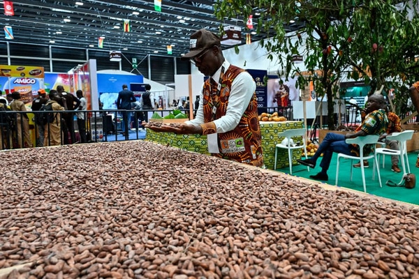 Cacao : vers un bloc africain représentant jusqu’à 75 % de la production mondiale