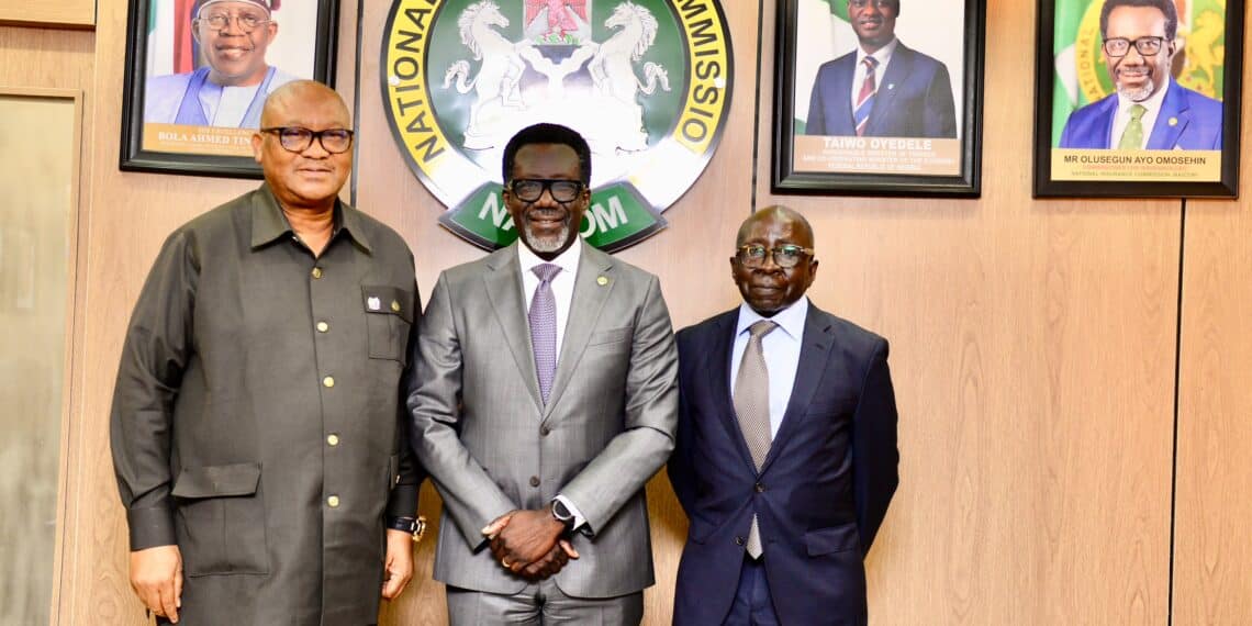 Nigeria : la NAICOM rend African Alliance Insurance à ses actionnaires après son redressement