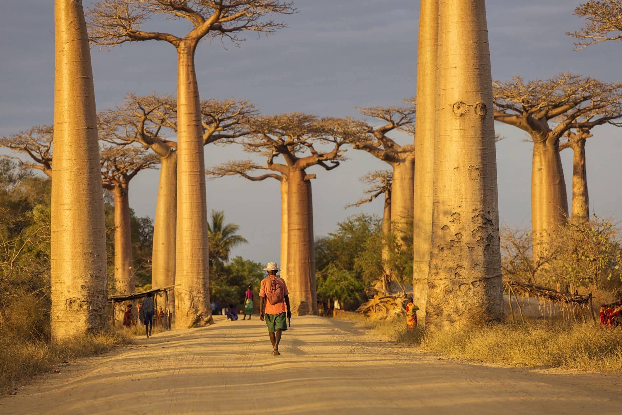 Exclusif : comment Amarante Internationale a été chassée de Madagascar 